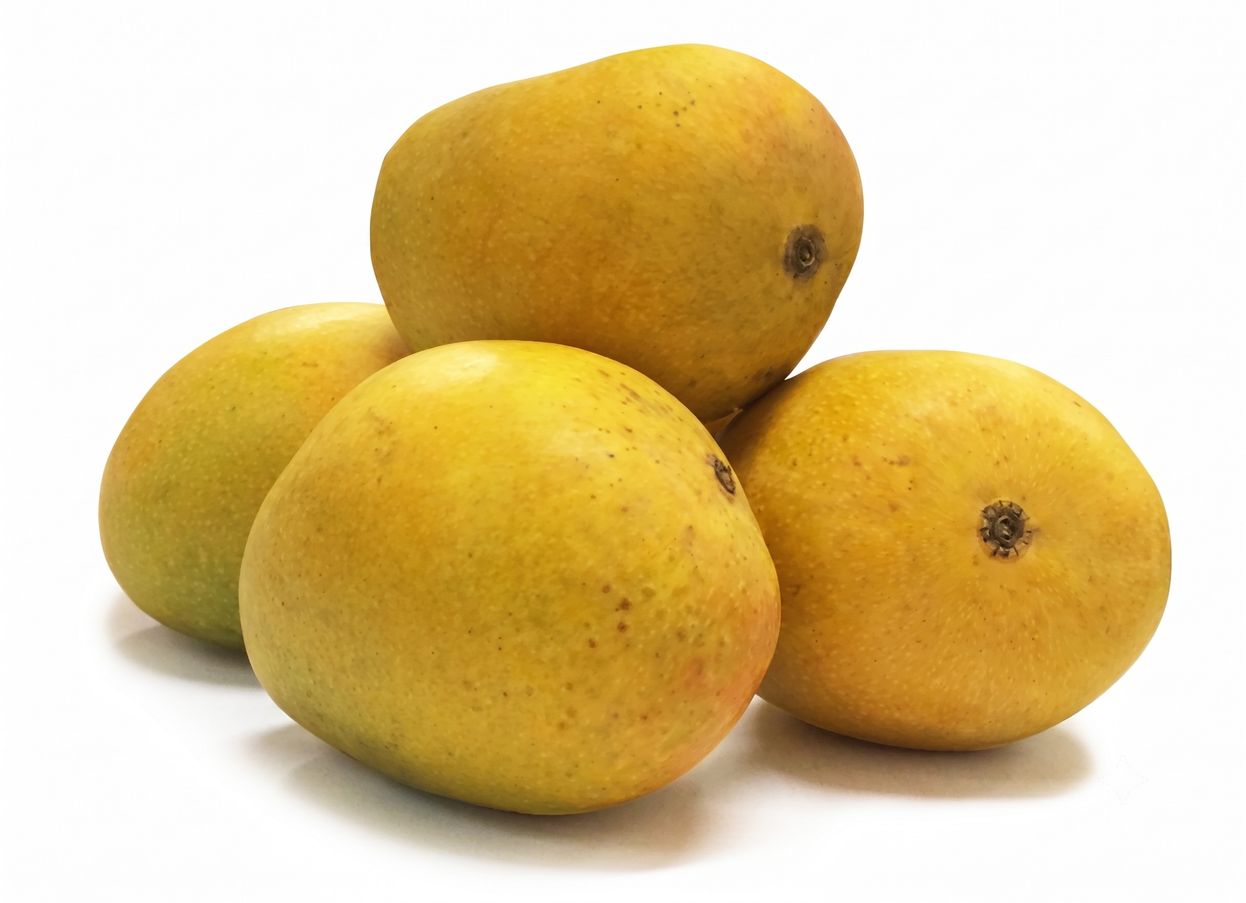 Alphonso Mangoes
