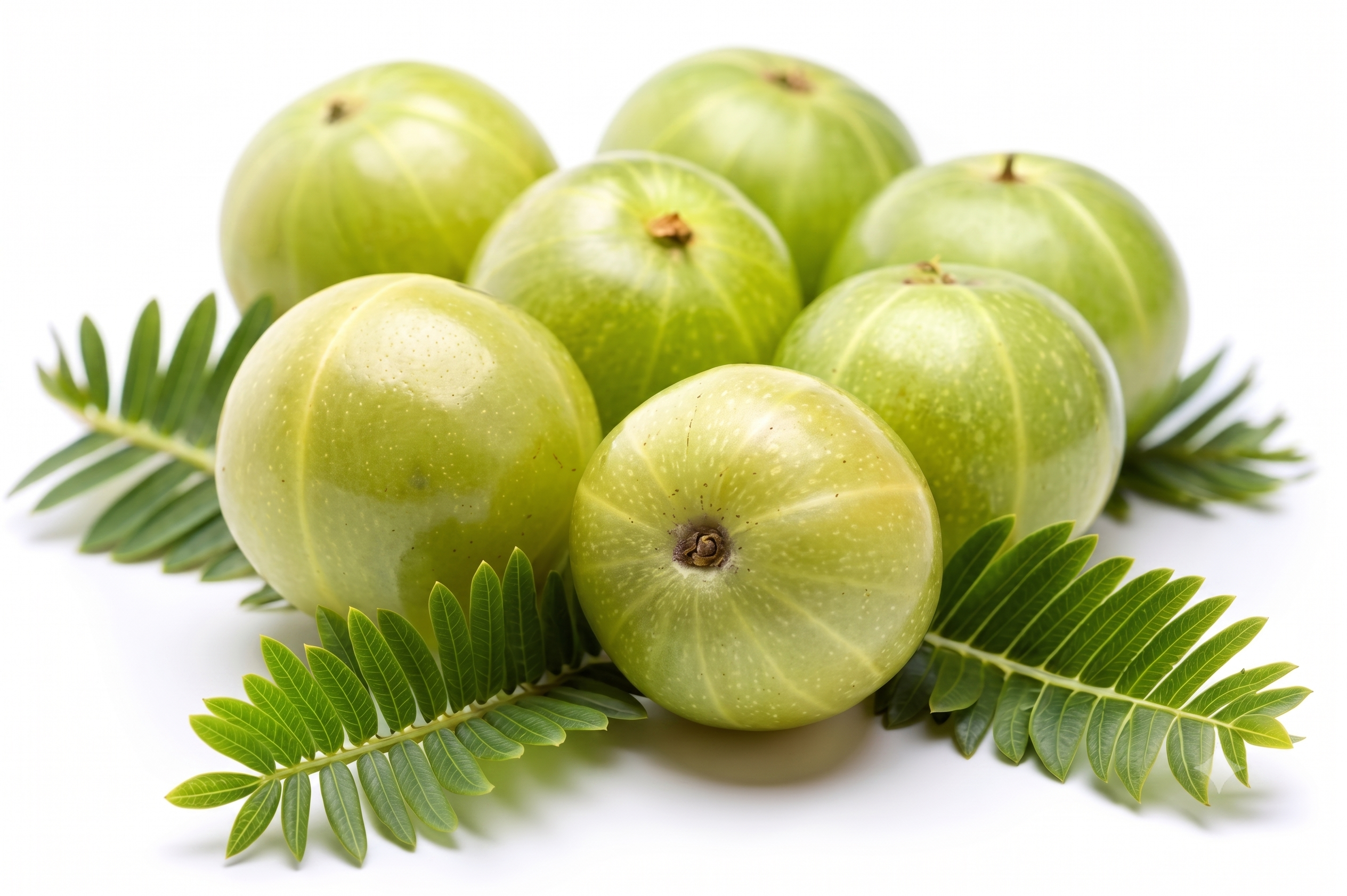 Indian Gooseberry (Amla)