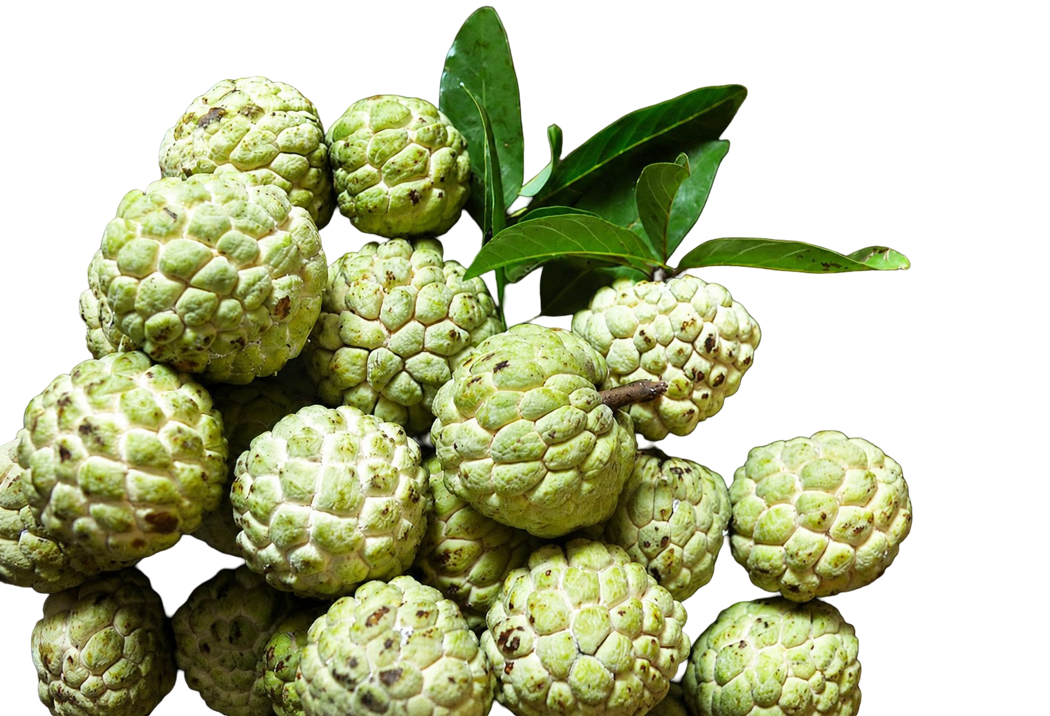 Custard Apples