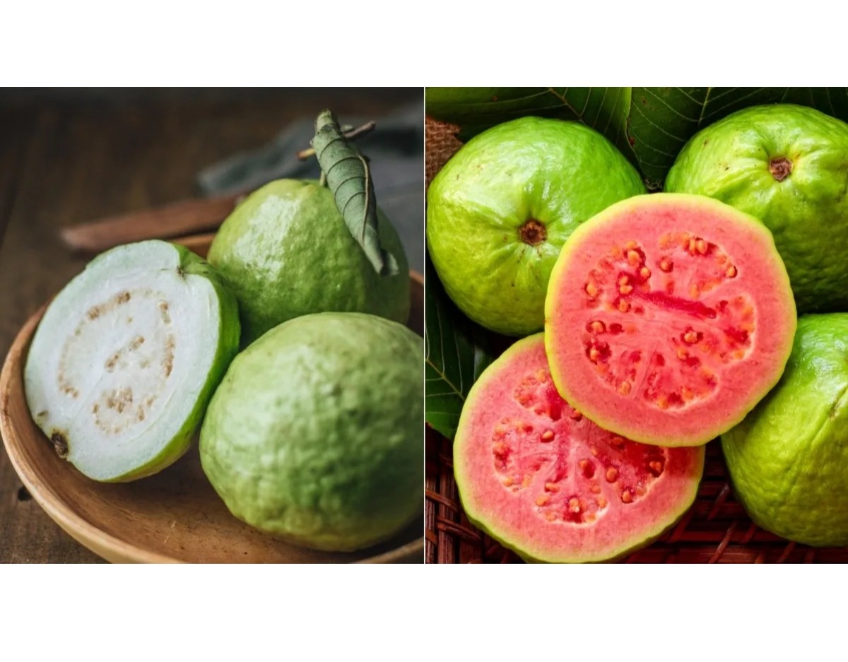 Guavas