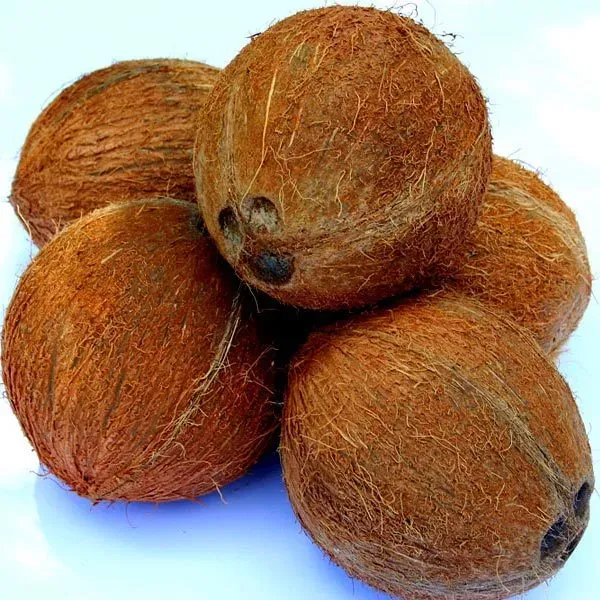 Semi-Husked Coconuts