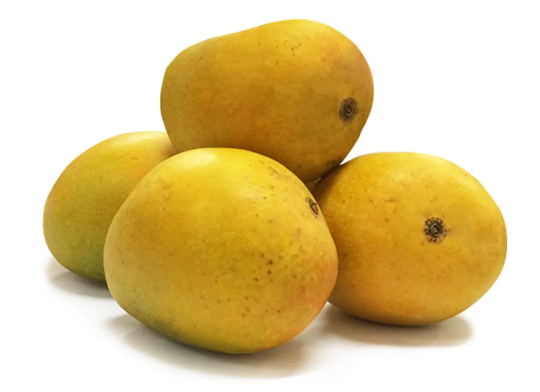 Alphonso Mangoes
