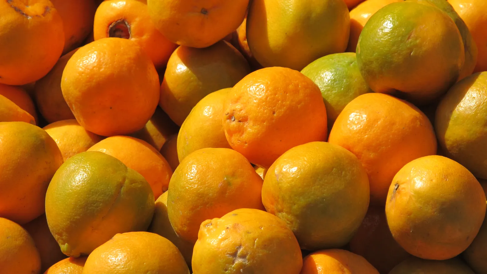 Oranges